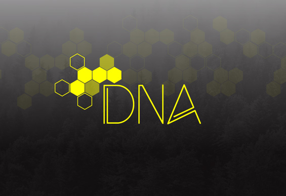 DNA